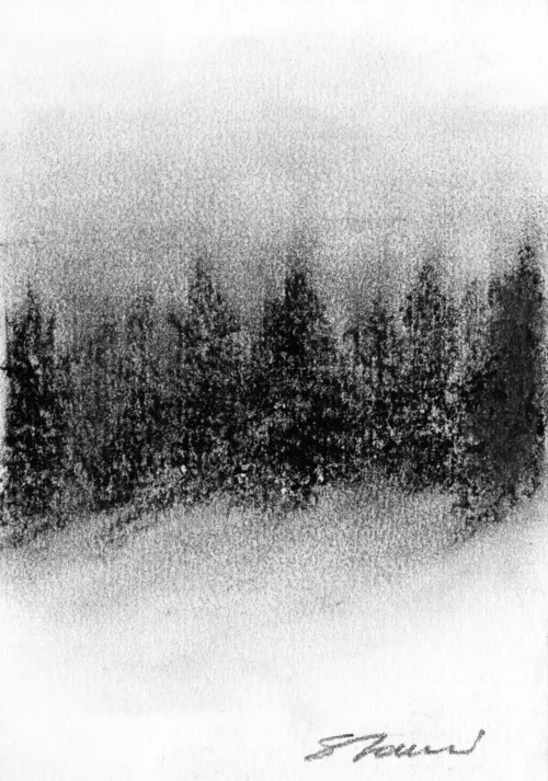 Dal bosco un canto sale - Alessandro Chiodo