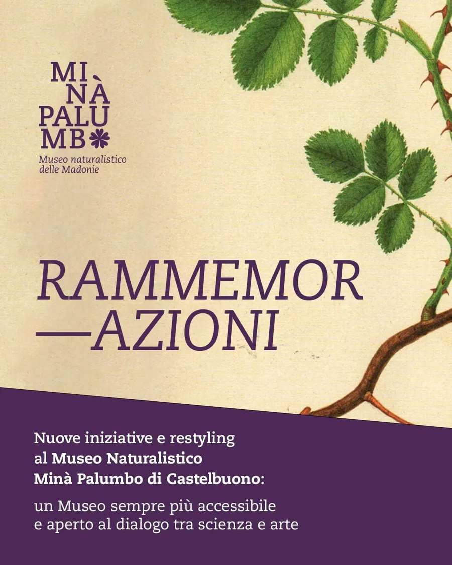 Rammemor-Azioni