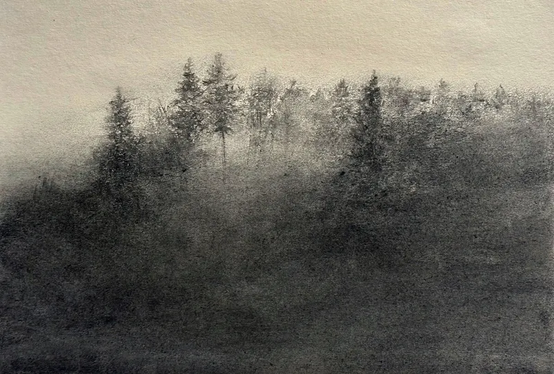 The suspended wood