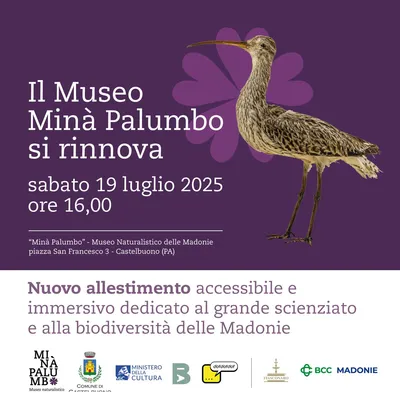 Inaugurazione nuova Pinacoteca 