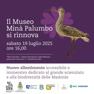 Inaugurazione nuova Pinacoteca 