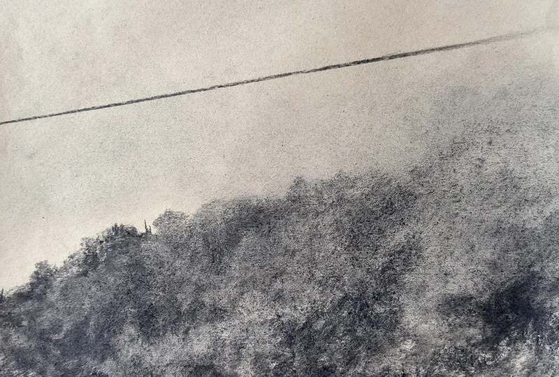 Suspended wood - serie